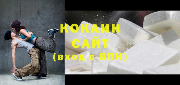 индика Арсеньев