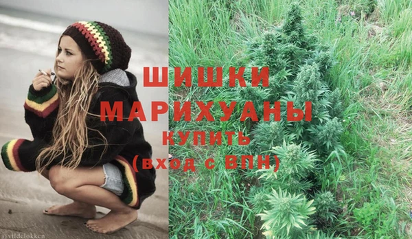 индика Арсеньев