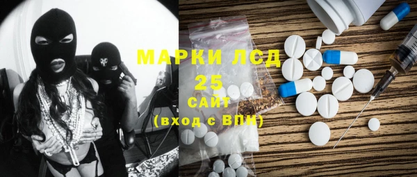 индика Арсеньев