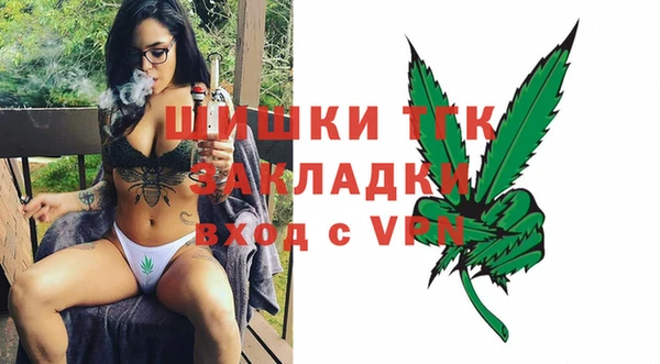 индика Арсеньев