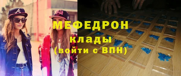 индика Арсеньев