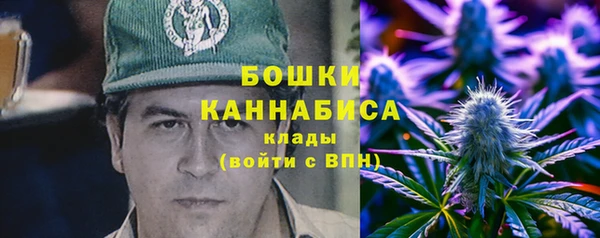 индика Арсеньев