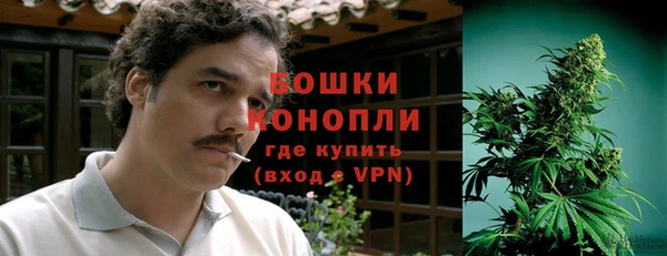 индика Арсеньев