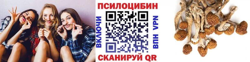 Галлюциногенные грибы Psilocybe  магазин продажи наркотиков  Советская Гавань 
