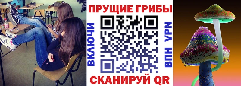 Галлюциногенные грибы GOLDEN TEACHER Советская Гавань
